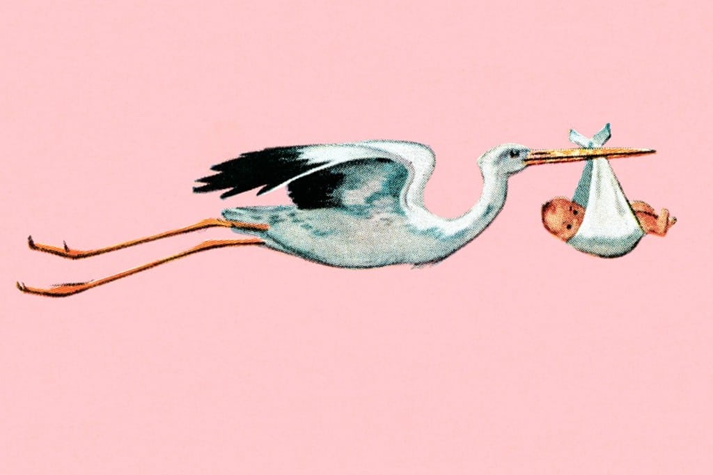 A stork carrying a baby in its beak